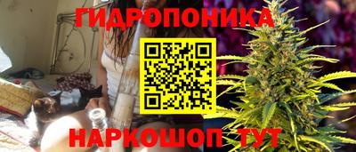 мдпв Заводоуковск