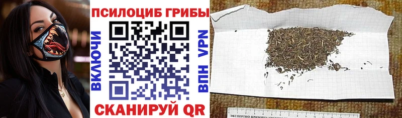 маркетплейс наркотические препараты  дарнет шоп  Славгород  Галлюциногенные грибы прущие грибы 