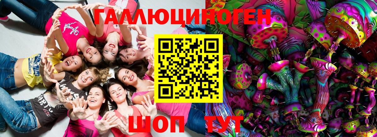 Славгород  Псилоцибиновые грибы Psilocybe  Вход с VPN 