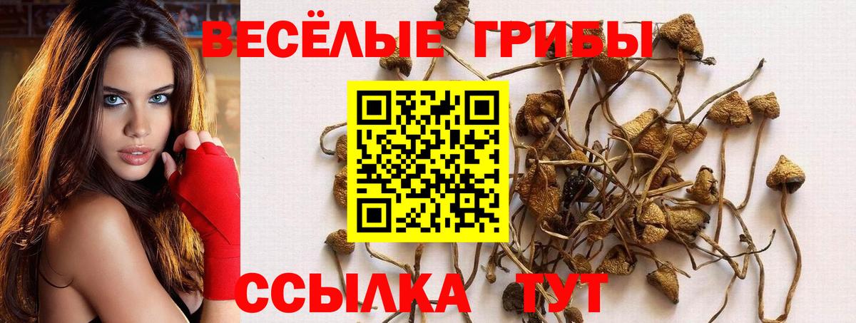 Галлюциногенные грибы MAGIC MUSHROOMS Славгород